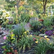 Pretty Garden