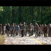 Zombies Outside My House