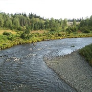 Anchor River State Recreation Area