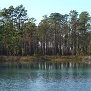 Apalachicola Biosphere Reserve, Florida, USA