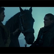 War Horse – Joey Trapped in Barbed Wire
