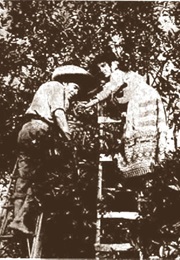 Pedro's Revenge (1913)