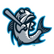 Tampa Tarpons (A)