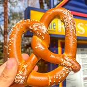 Giant Pretzel