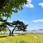 Hitachinaka, Ibaraki, Japan