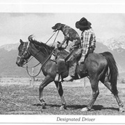 Have a Designated Driver