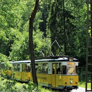 Kirnitzschtalbahn in Elbensteingebirge