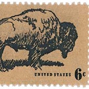 Wildlife Conservation