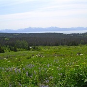 Diamond Creek State Recreation Area