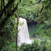 Sheka Forest Biosphere Reserve, Ethiopia