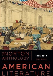 The Norton Anthology of American Literature: 1865-1914 (Robert S. Levine)