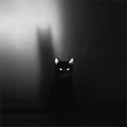 Melodramatic - Siames