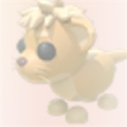 ･､ ˡⁱᵒⁿ ᶜᵘᵇ