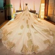 Metallic Embellishment on Train