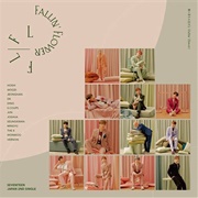Fallin' Flower - Seventeen