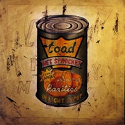Toad the Wet Sprocket - Good Intentions