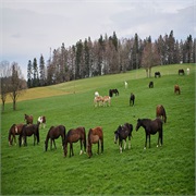 Le Roselet in Les Breuleux, Switzerland