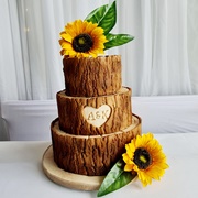 Faux Wood Finish Cake