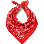 Red Bandana