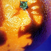 A Picture of Nectar - Phish