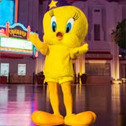 Tweety Bird