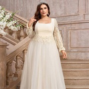 Lace Sleeves and Waist on Dress