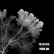 Pearl Jam - The Last of Us