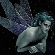 Fairy Man