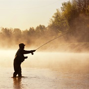 Fishing