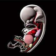 S4.E2: When Does Life Begin?