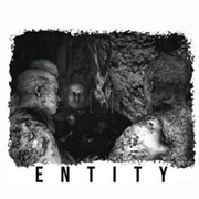 Northbury Grove: Entity