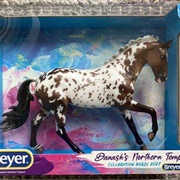 Danash's Northern Tempest