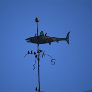 The Lewes Shark Weather Vane