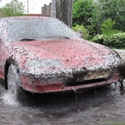 Caterpillars Spun a Web on My Car