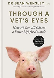 Through a Vet's Eyes (Sean Wensley)