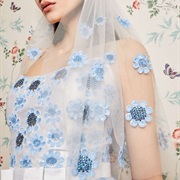 Colorful Beaded Decor Scattered Around Veil