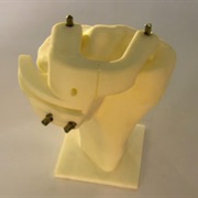 S21.E10: Customized Knee Replacements, Leaf Springs, Lavender Essential Oil, Rivets and Rivet Tools