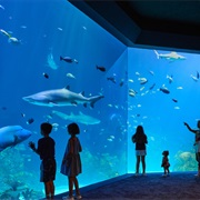 SEA LIFE Kansas City Aquarium