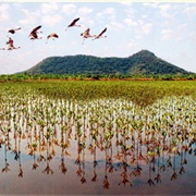 Kien Giang Biosphere Reserve, Vietnam