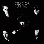 Dead or Alive – It's Been Hours Now