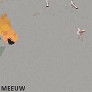 Meeuw
