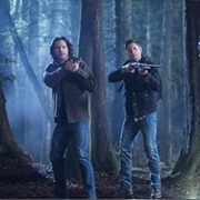 14.16 Don't Go in the Woods