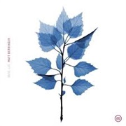 Matt Berninger - Get Sunk