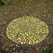 Autumn Leaves Mosaic