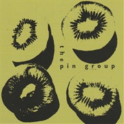 The Pin Group – the Pin Group