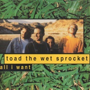All I Want - Toad the Wet Sprocket