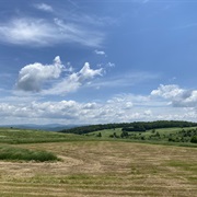 Windsor Grassland, VT