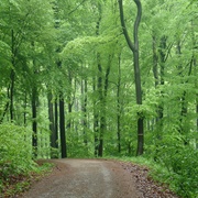 Wienerwald Biosphere Reserve, Austria