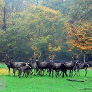Golestan National Park, Iran