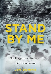 Stand by Me: The Forgotten History of Gay Liberation (Jim Downs)